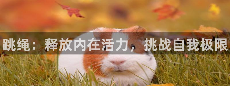 注册利记官方正版app：跳绳：释放内在活力，挑战自我