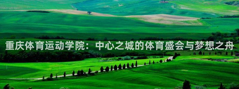 利记官网下载是干嘛的公司：重庆体育运动学院：中心之城