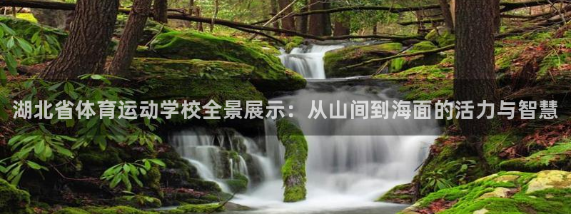 利记官网下载平台是正规平台吗知乎：湖北省体育运动学校