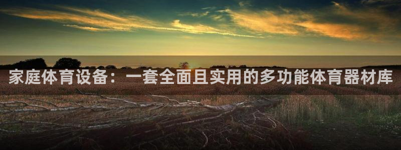 利记官网下载软件：家庭体育设备：一套全面且实用的多功