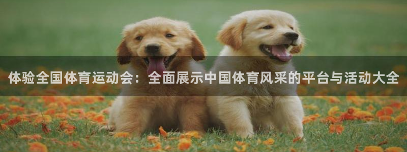 利记官方正版app娱乐是那个系列的台子：体验全国体育
