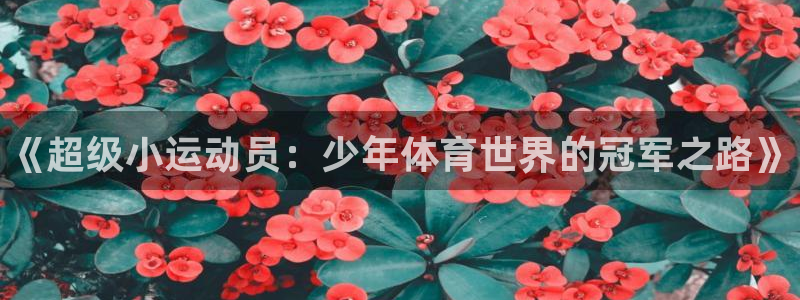 利记官方正版app娱乐是那个系列的台子：《超级小运动
