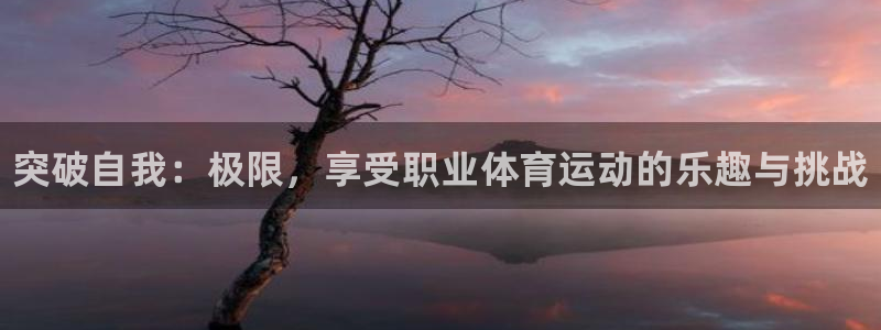 利记官方正版app娱乐首页网站大全：突破自我：极限，