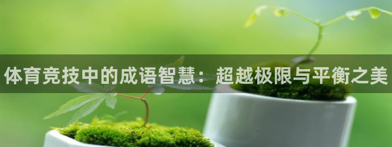 利记官方正版app集团：体育竞技中的成语智慧：超越极