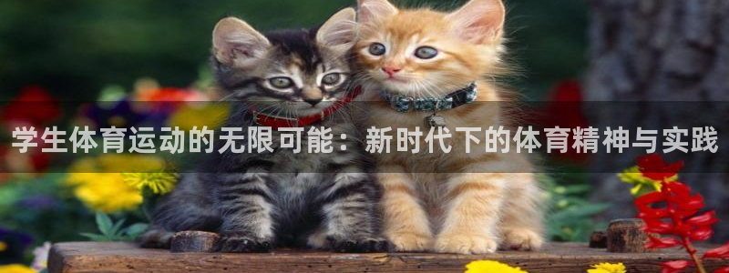 利记官网下载平台假的吗是真的吗吗：学生体育运动的无限