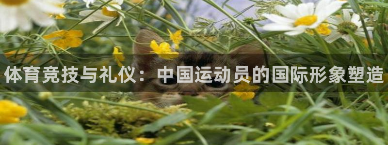 利记官方正版app官网：体育竞技与礼仪：中国运动员的