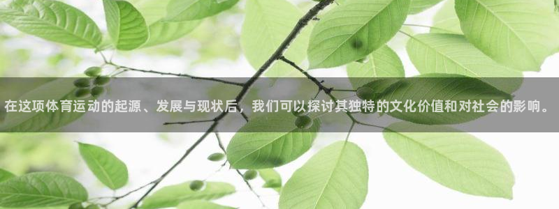 利记官方正版app娱乐代理怎么样：在这项体育运动的起