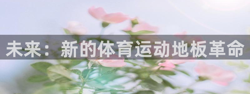 利记官网下载招商电话号码：未来：新的体育运动地板革命