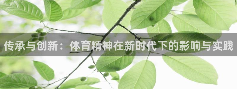 利记官网下载平台是正规平台吗安全吗：传承与创新：体育精神在新