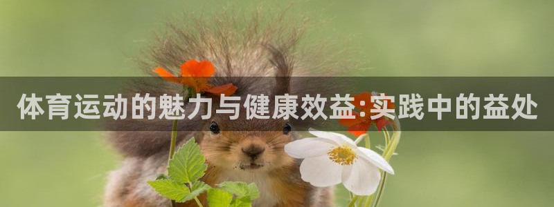 利记官网下载联系电话：体育运动的魅力与健康效益:实践