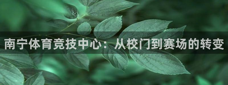 利记官网下载招商电话地址：南宁体育竞技中心：从校门到赛场的转