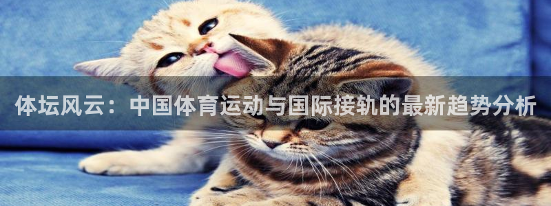 利记官网下载招商电话地址：体坛风云：中国体育运动与国际接轨的