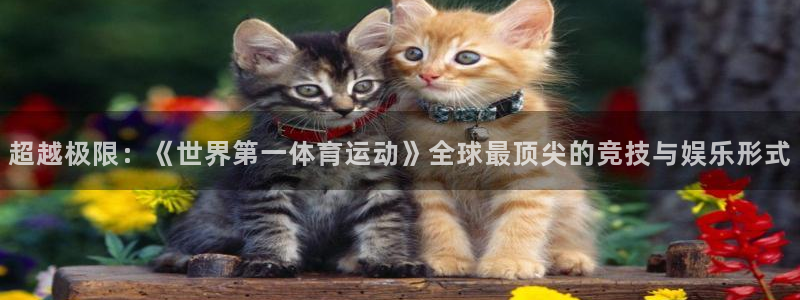 利记官方正版app集团官网网址