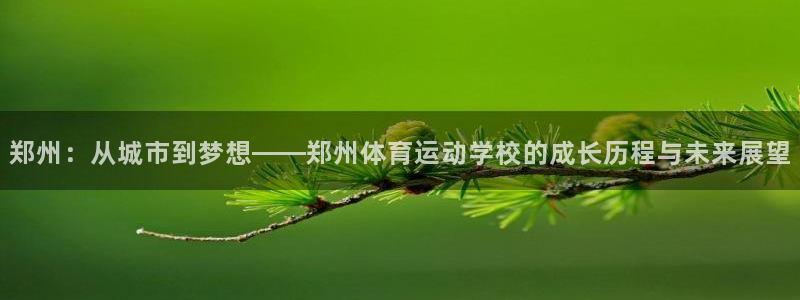 利记官方正版app神州：郑州：从城市到梦想——郑州体育运动学