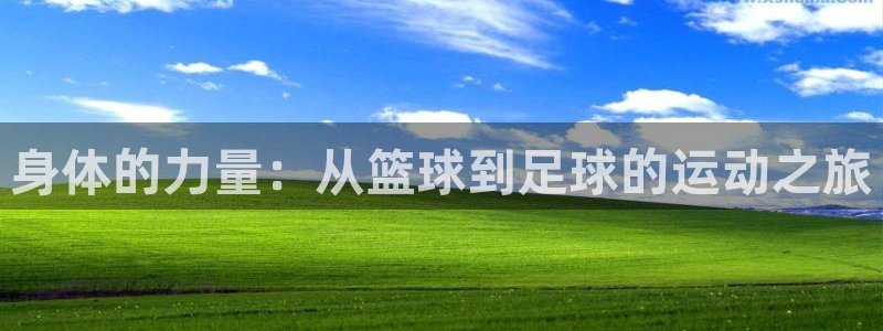 利记官方正版app集团简介：身体的力量：从篮球到足球的运动之