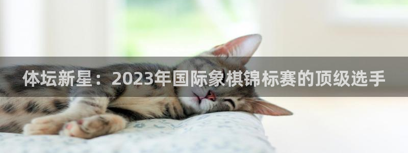 利记官方正版app集团官网首页：体坛新星：2023年国际象棋