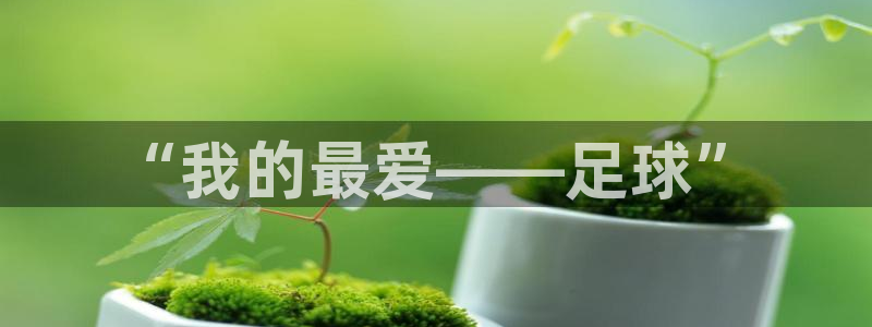 利记官网下载平台注册要钱吗：“我的最爱——足球”