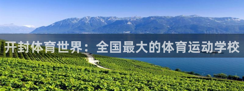利记官网下载是干嘛的公司