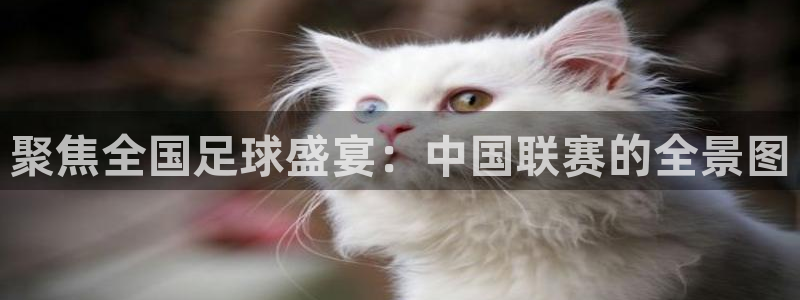 搜球8直播nba直播：聚焦全国足球盛宴：中国联赛的全景图