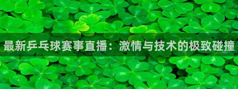 搜球吧8直播免费观看：最新乒乓球赛事直播：激情与技术的极致碰撞